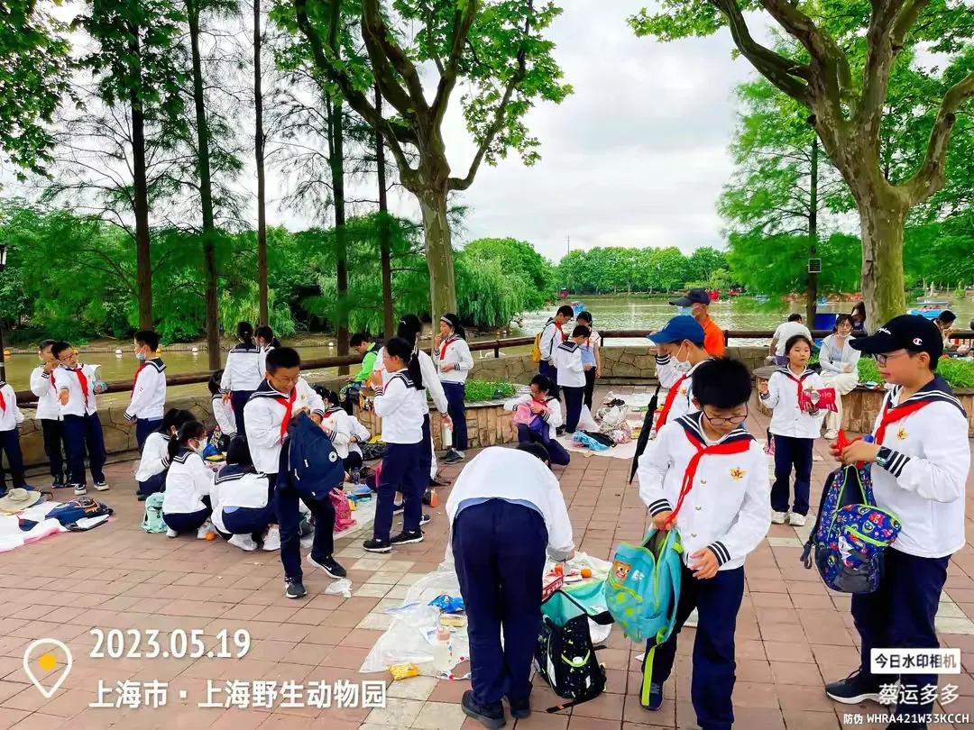 上海野生动物园和上海动物园,上海野生动物园过年营业时间