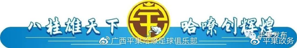 2023年中国足球协会甲级联赛购票,平果足球联赛门票