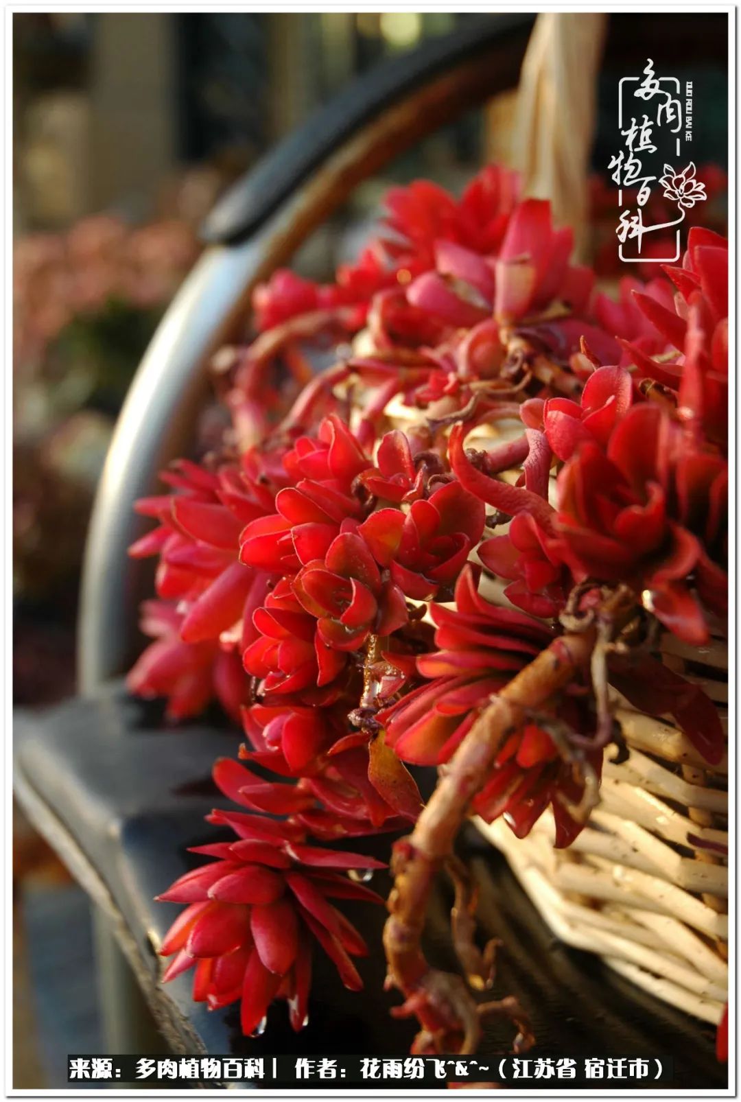 快乐的童年时光视频,回味快乐的童年美好的时光