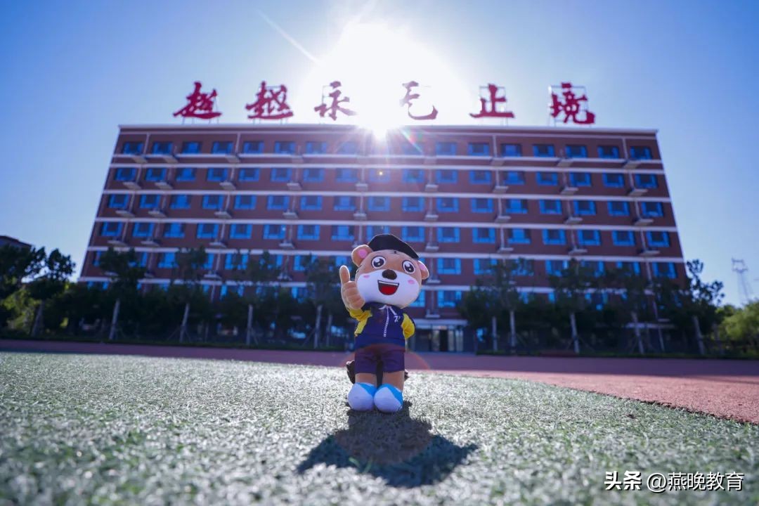 超越虎,超越虎图片