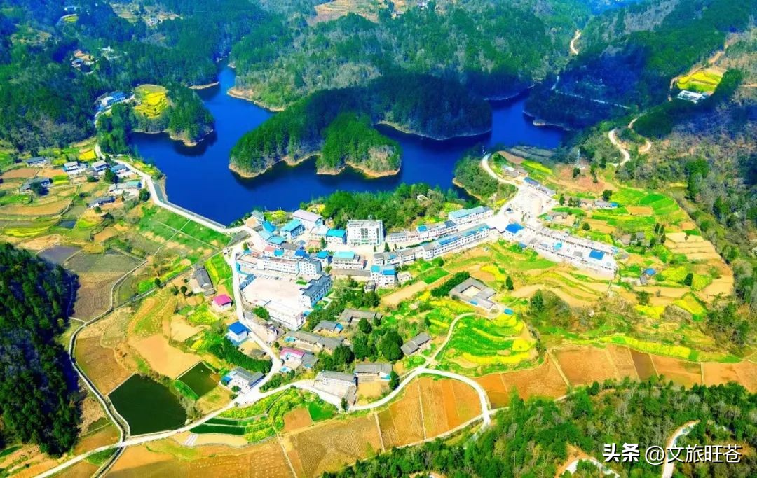 旺苍六大茶乡,个个香飘万里!看看你最熟悉哪几个?