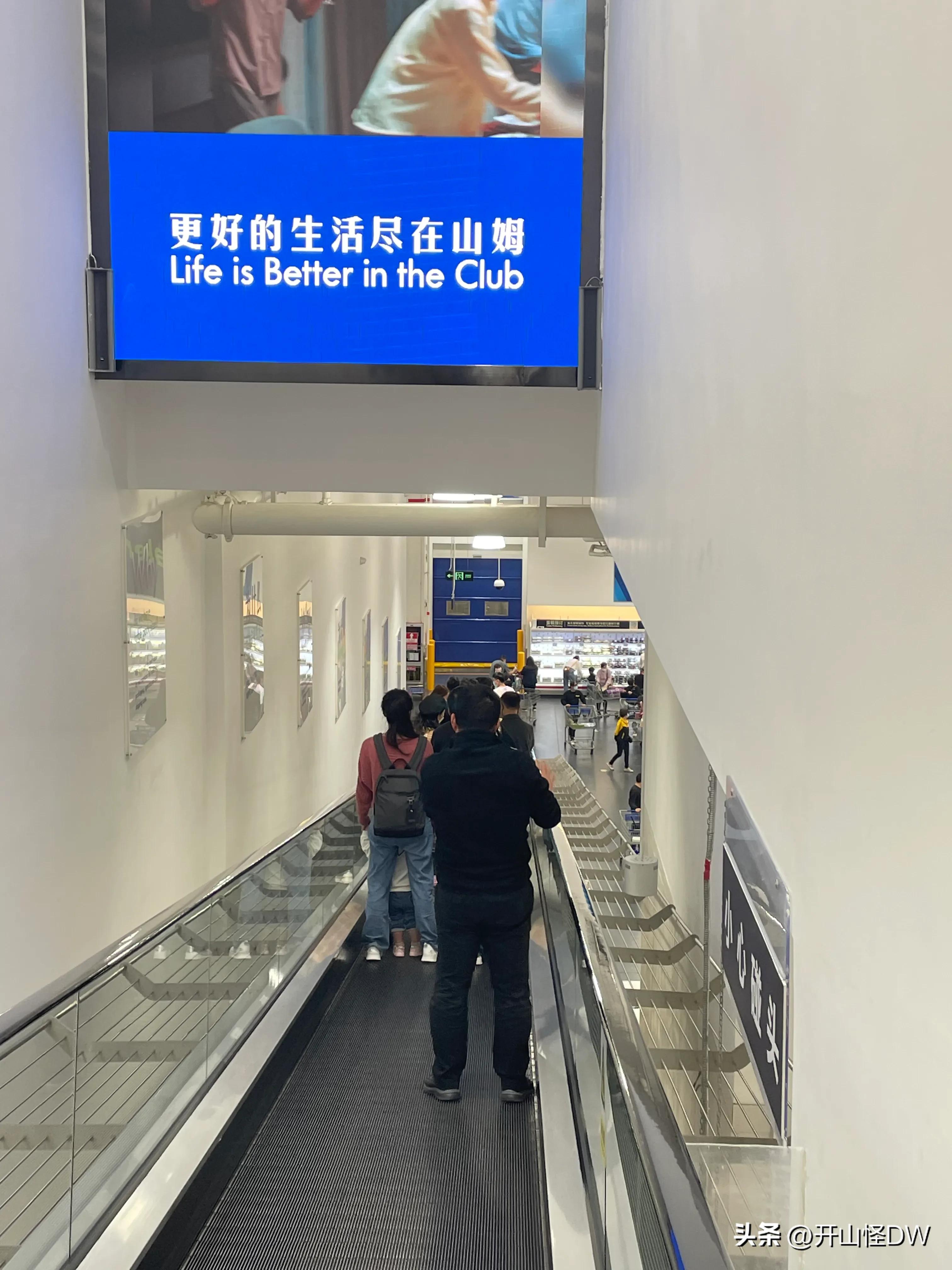 山姆一次性手套,山姆必买的10件东西