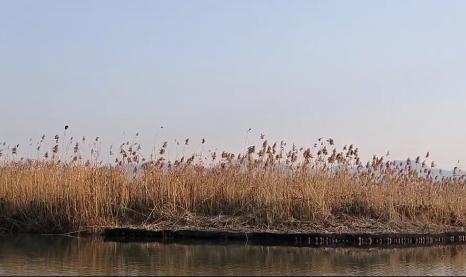 杭州市民卡景区免费,杭州免门票景区攻略图文