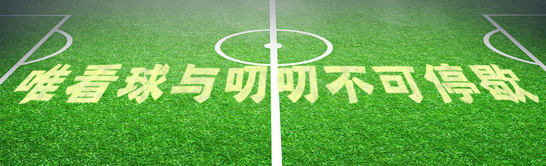 世界杯太太团惊艳全场颜值排名,2023世界杯日本队太太团