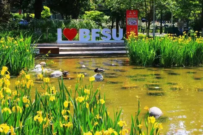 北京外国语大学2020招生简章,北京外国语2021招生章程