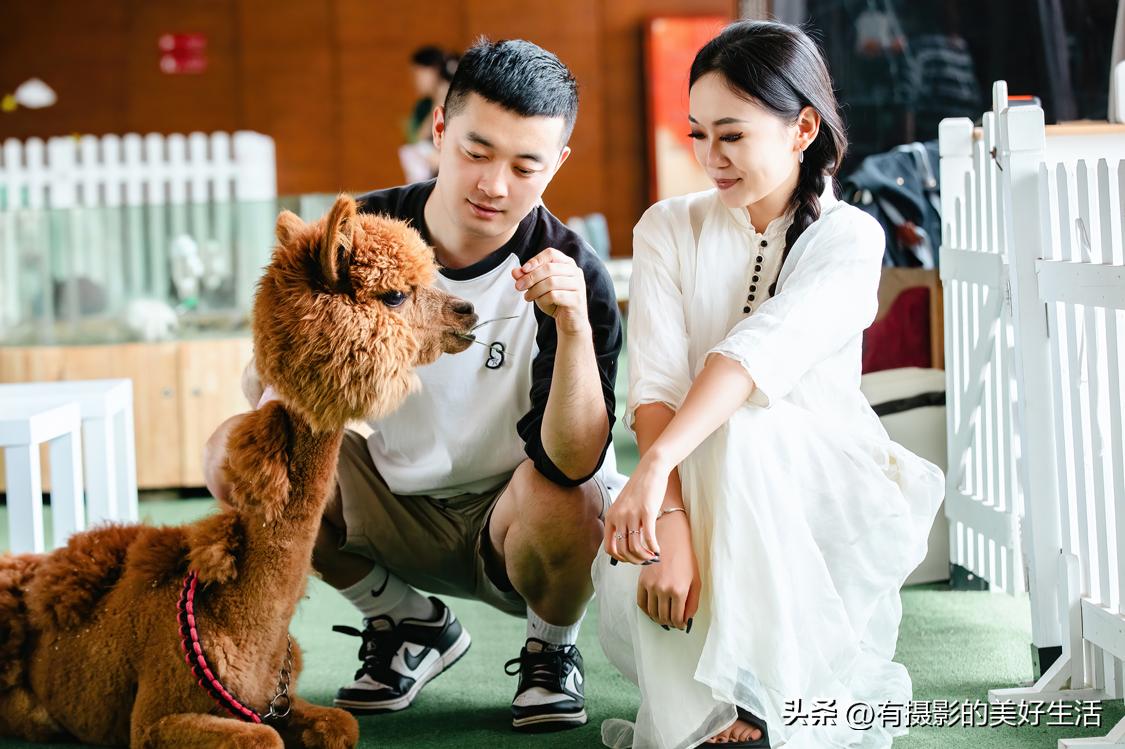 临潼悦椿温泉国际酒店,西安悦椿温泉酒店夏天游玩攻略