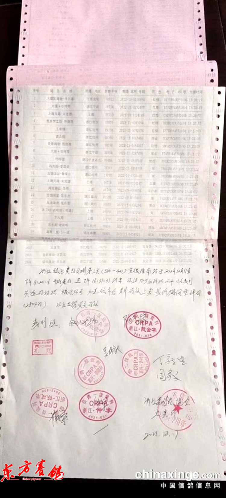 浙江德飞赛鸽公棚路线,浙江德飞赛鸽公棚直播