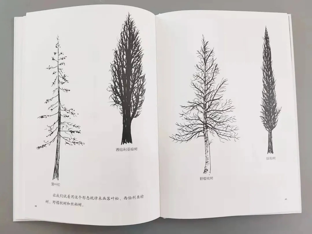 学画画零基础先学什么学画太阳,怎么画最简单的太阳和大树