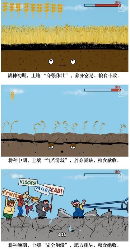 东北黑土退化的原因及措施,东北黑土退化的原因及治理措施