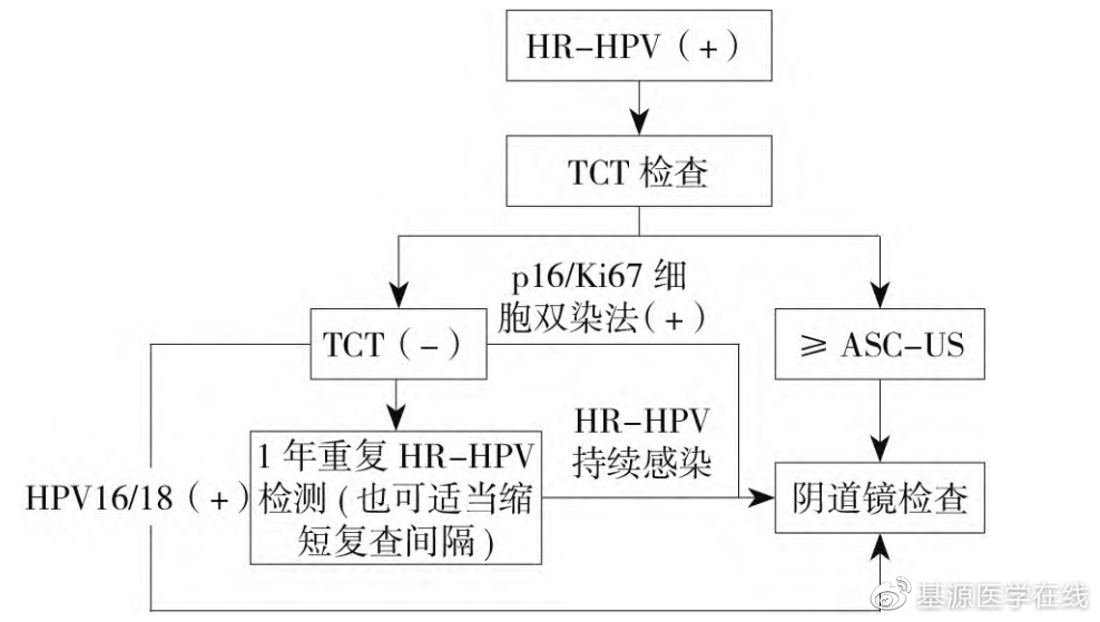 女性宫颈疾病筛查项目,老年人子宫病变怎么查