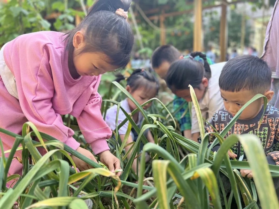 倾听儿童相伴成长主题墙幼儿园,倾听儿童相伴成长幼儿园小班视频