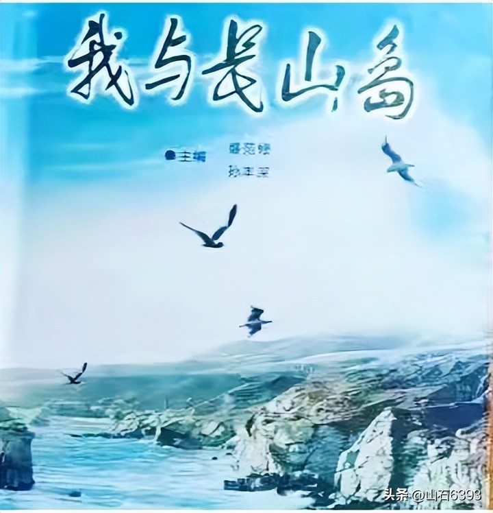 伟力144002和104009对比,伟力104310和104311区别