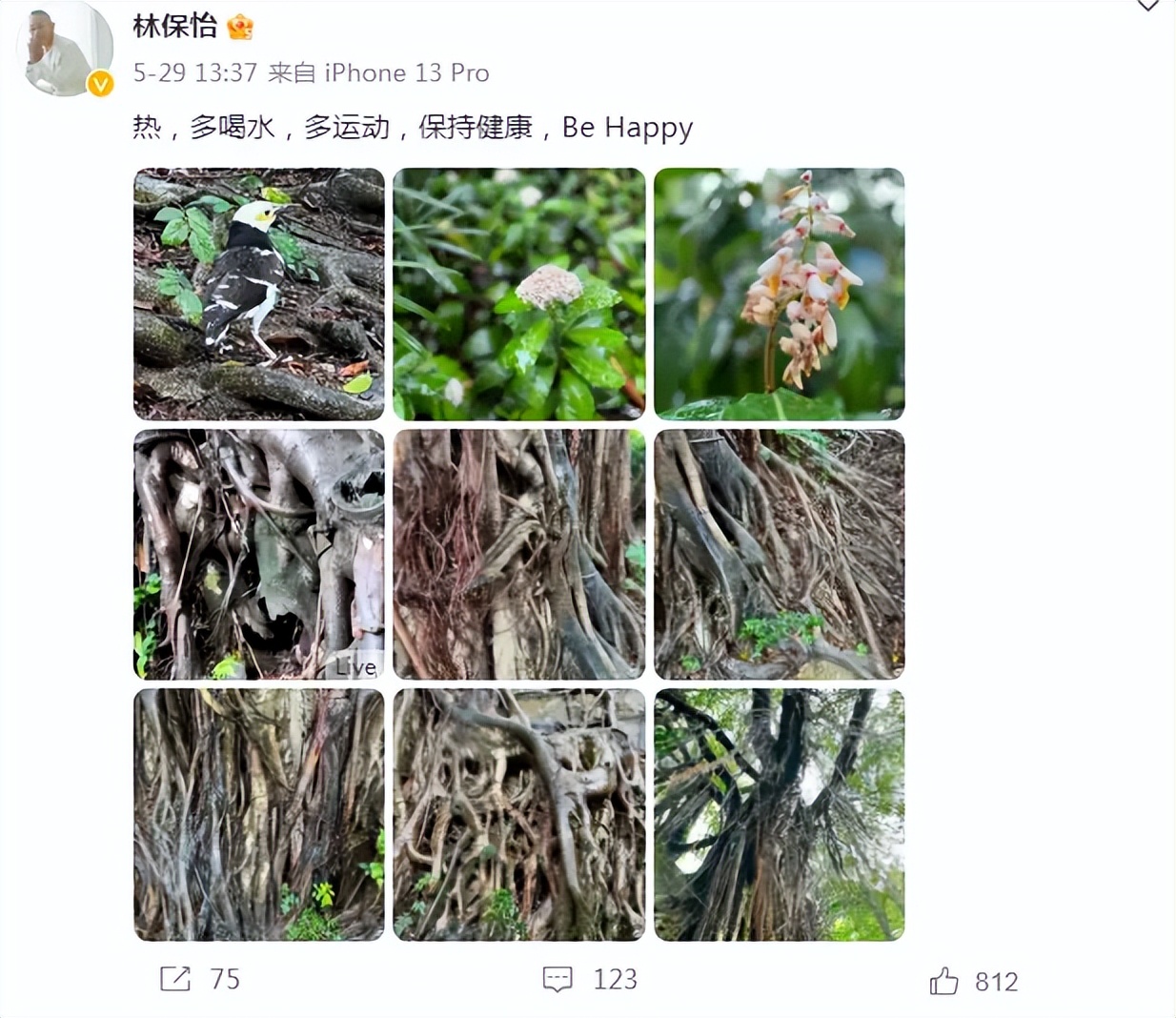 他是“TVB最后的辉煌”，如今58岁单身未婚，一人一狗独居6亿豪宅