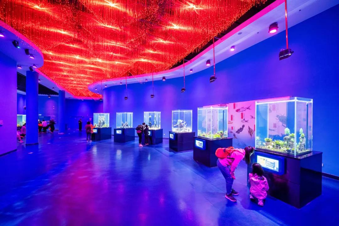 济南春天适合带孩子去的地方,济南春节亲子游