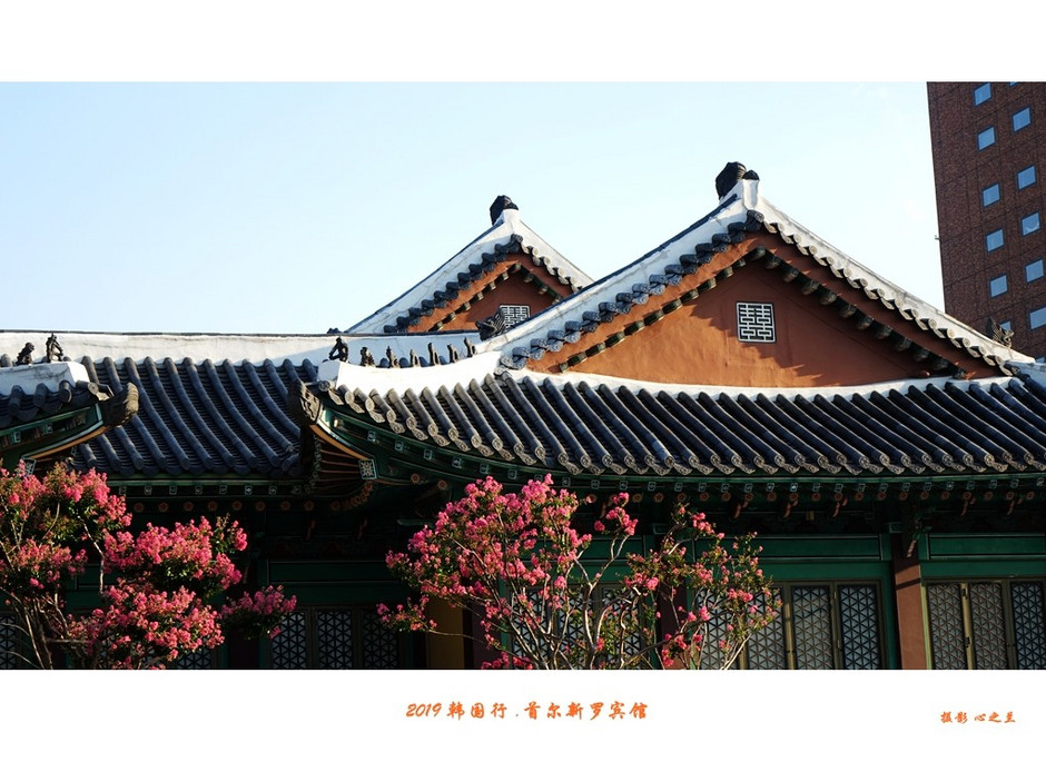 韩国旅游首尔探店攻略,韩国游记首尔宫