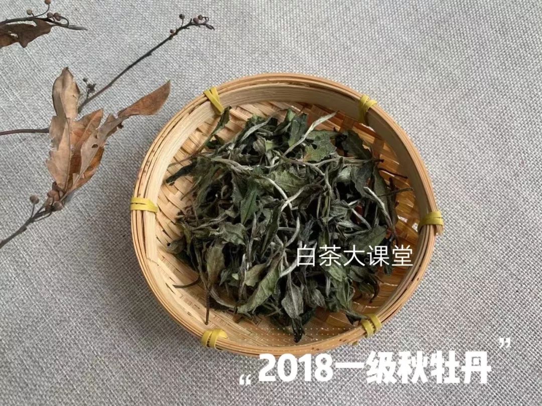 白茶是一种绿茶么,白茶是白的吗