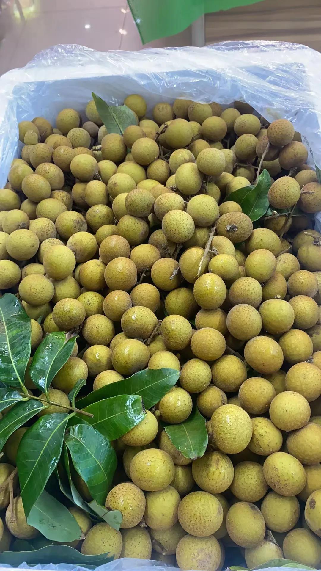 广东人爱吃的酸酸甜甜的水果,广东人爱吃的菜大全