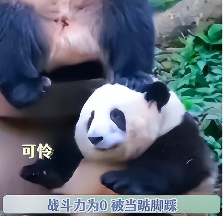 中国十大顶流女明星,顶流女明星穿越电视剧