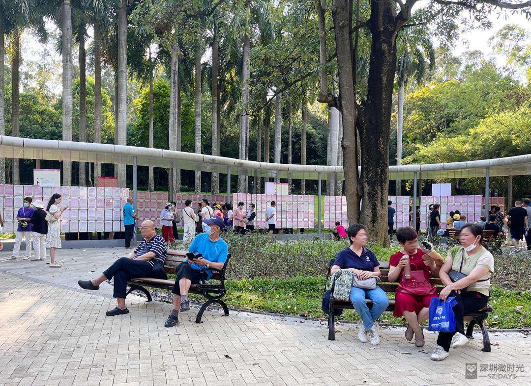 莲花山相亲角案例,莲花山相亲角成功几率