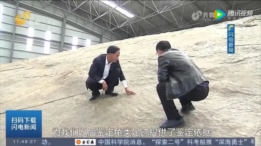 中国十大恐龙图鉴,100种恐龙名字图鉴图文