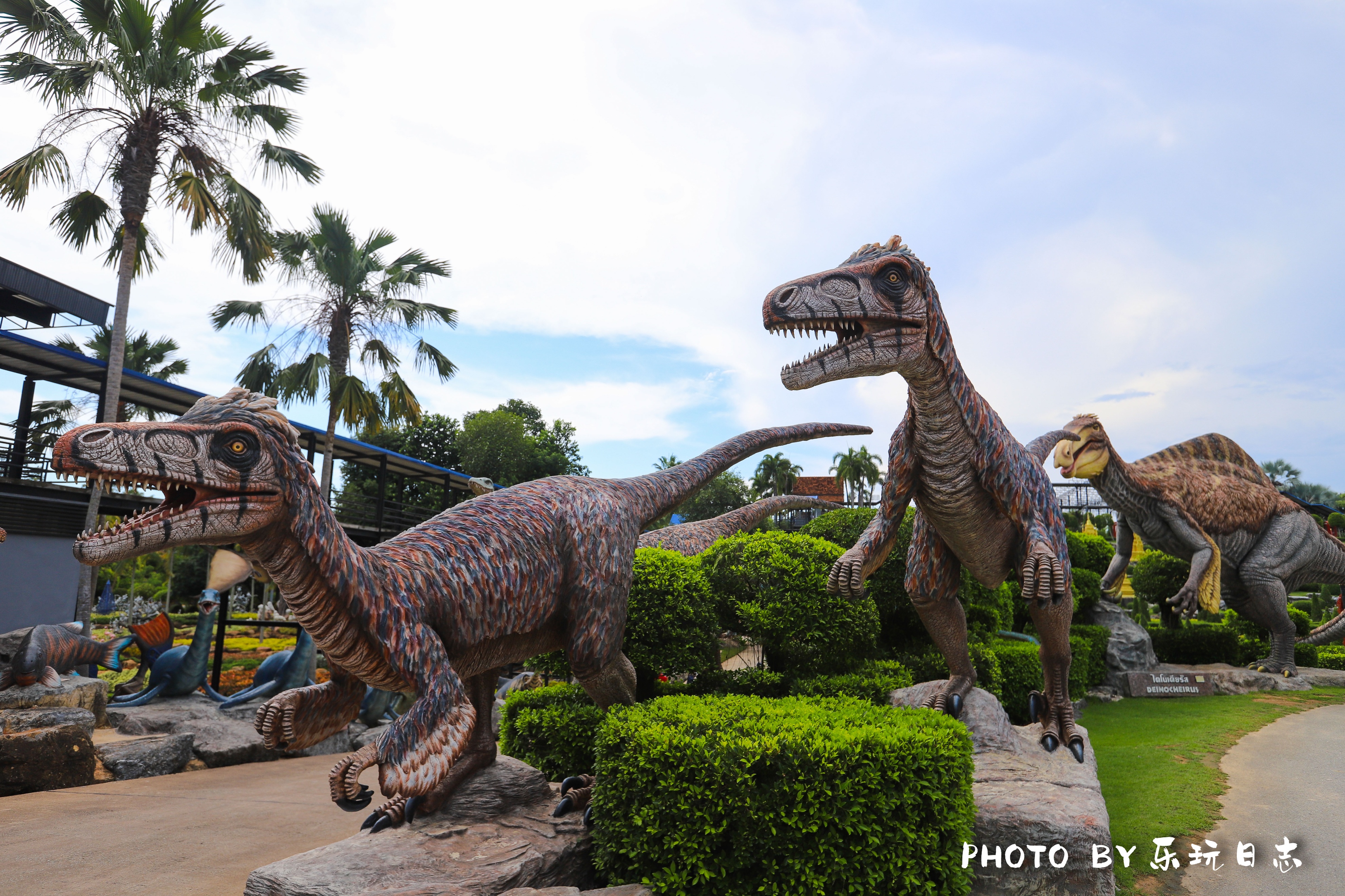 泰国热带公园,泰国东芭乐园占地面积