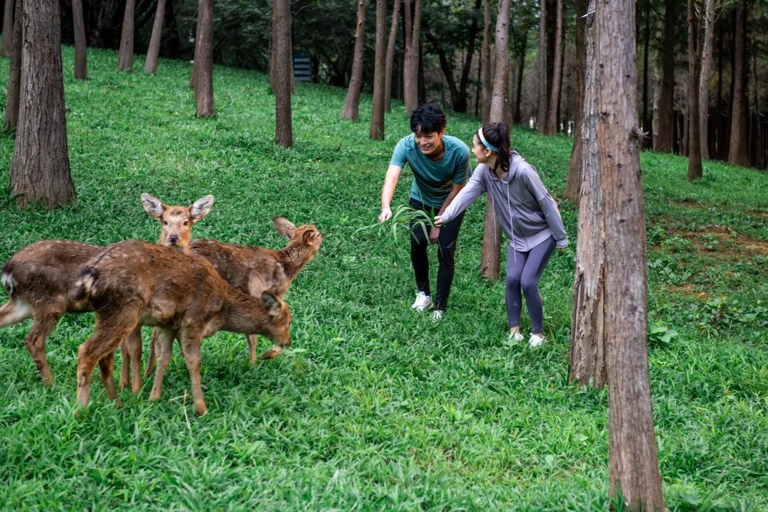 清远佛冈森波拉温泉度假酒店,佛冈森波拉冰川水谷门票