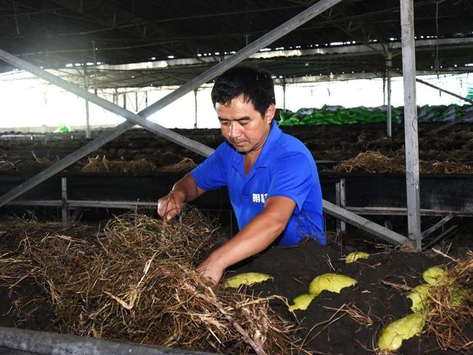 禽畜粪便环保处理,畜禽粪便处理循环利用利弊