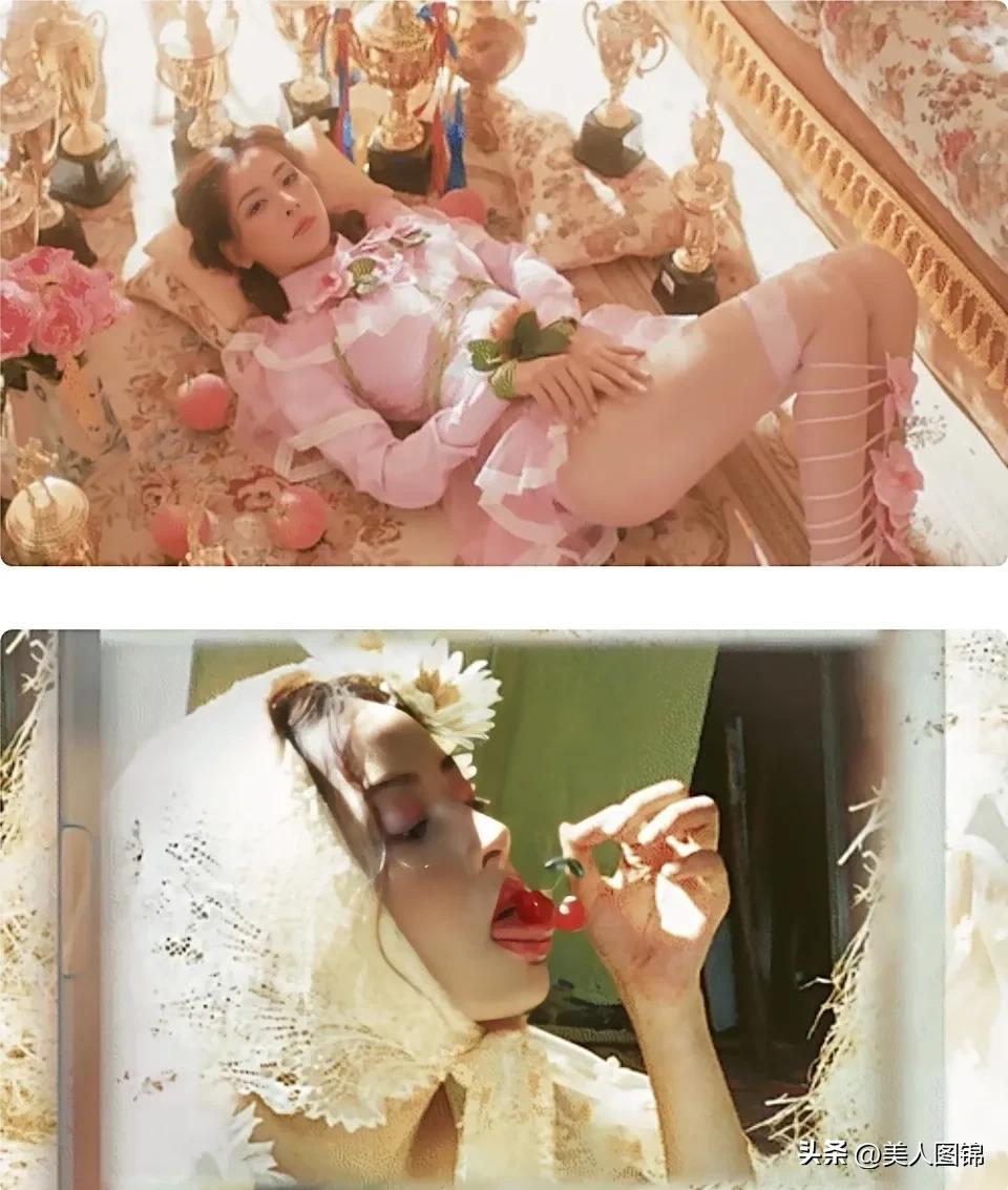 越南芝芙,芝芙越南