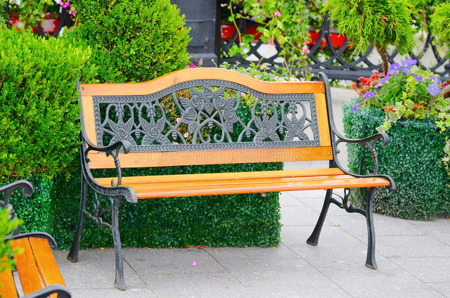 一般的大门朝东门口可以放铁树吗,缺东南角房子可以放铁树吗