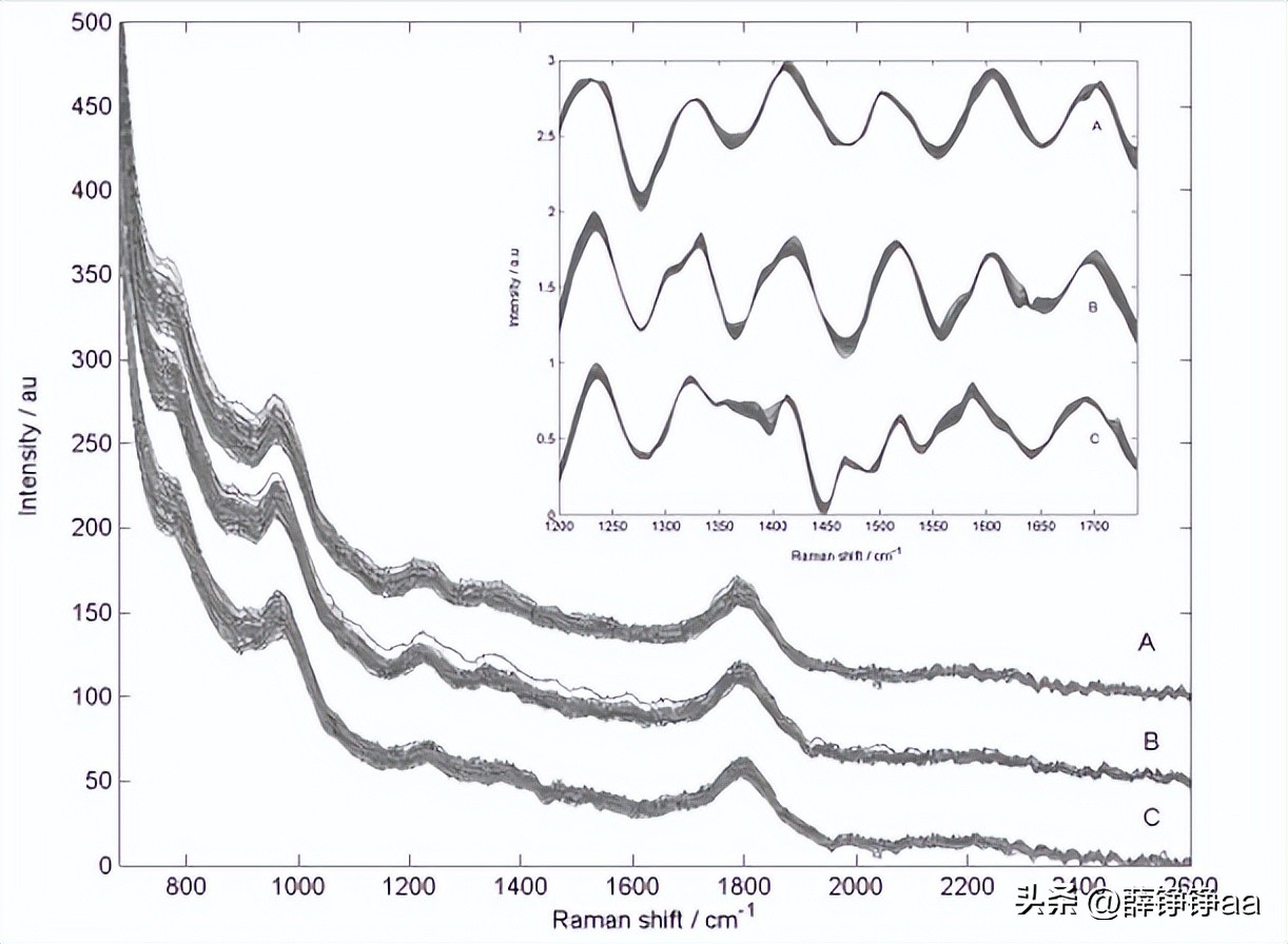 怎样辨别细菌肠胃炎,拉曼光谱法在药品检测中的应用