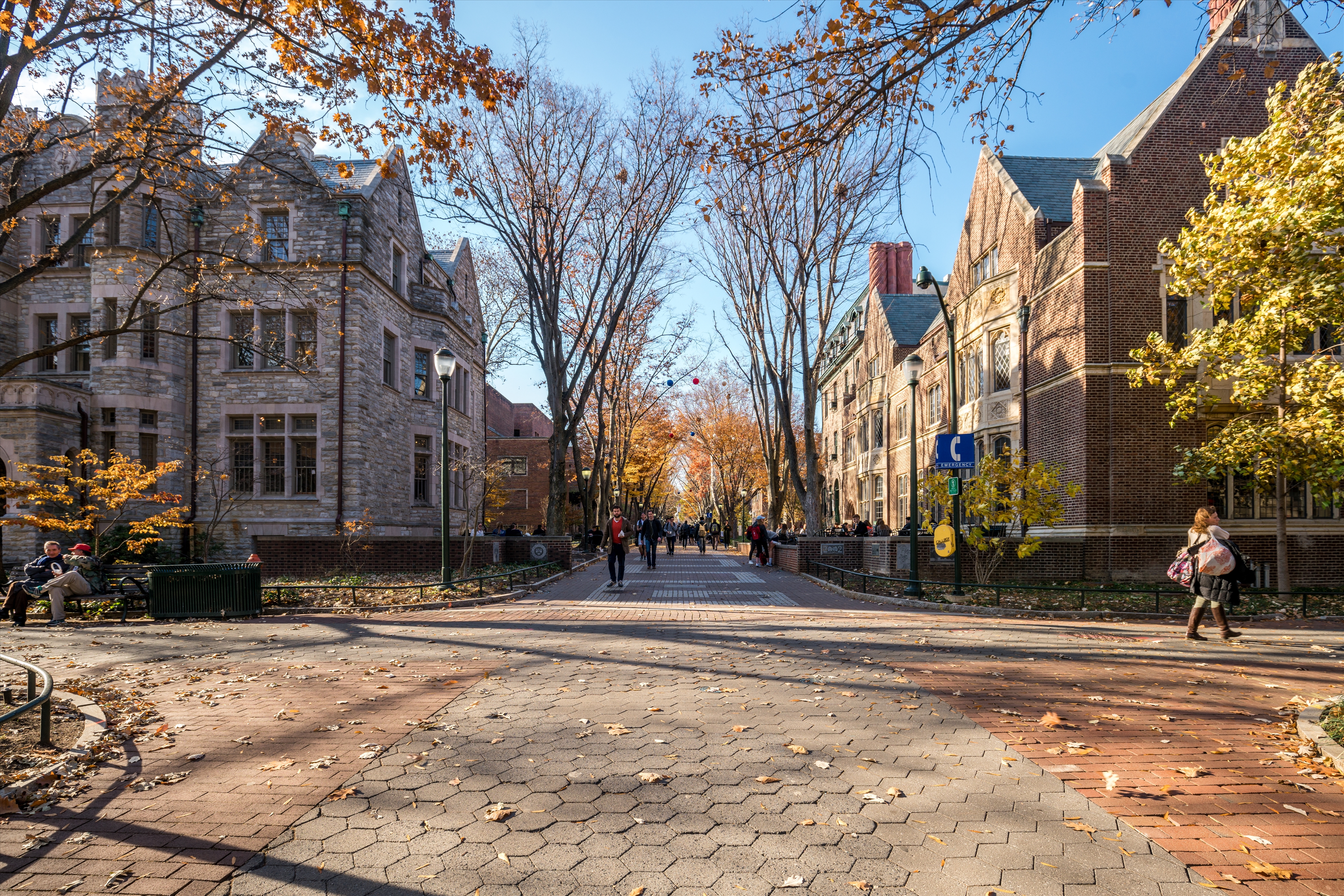 美国商科研究生大学排名,美国硕士商科大学排名2022完整版