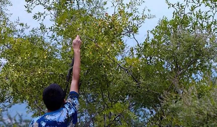 鎴戝鍦板嚭宸亣鍒板垵鎭嬪コ鏈嬪弸,鎴戝鍦板嚭宸伓閬囧垵鎭嬪コ鏈嬪弸