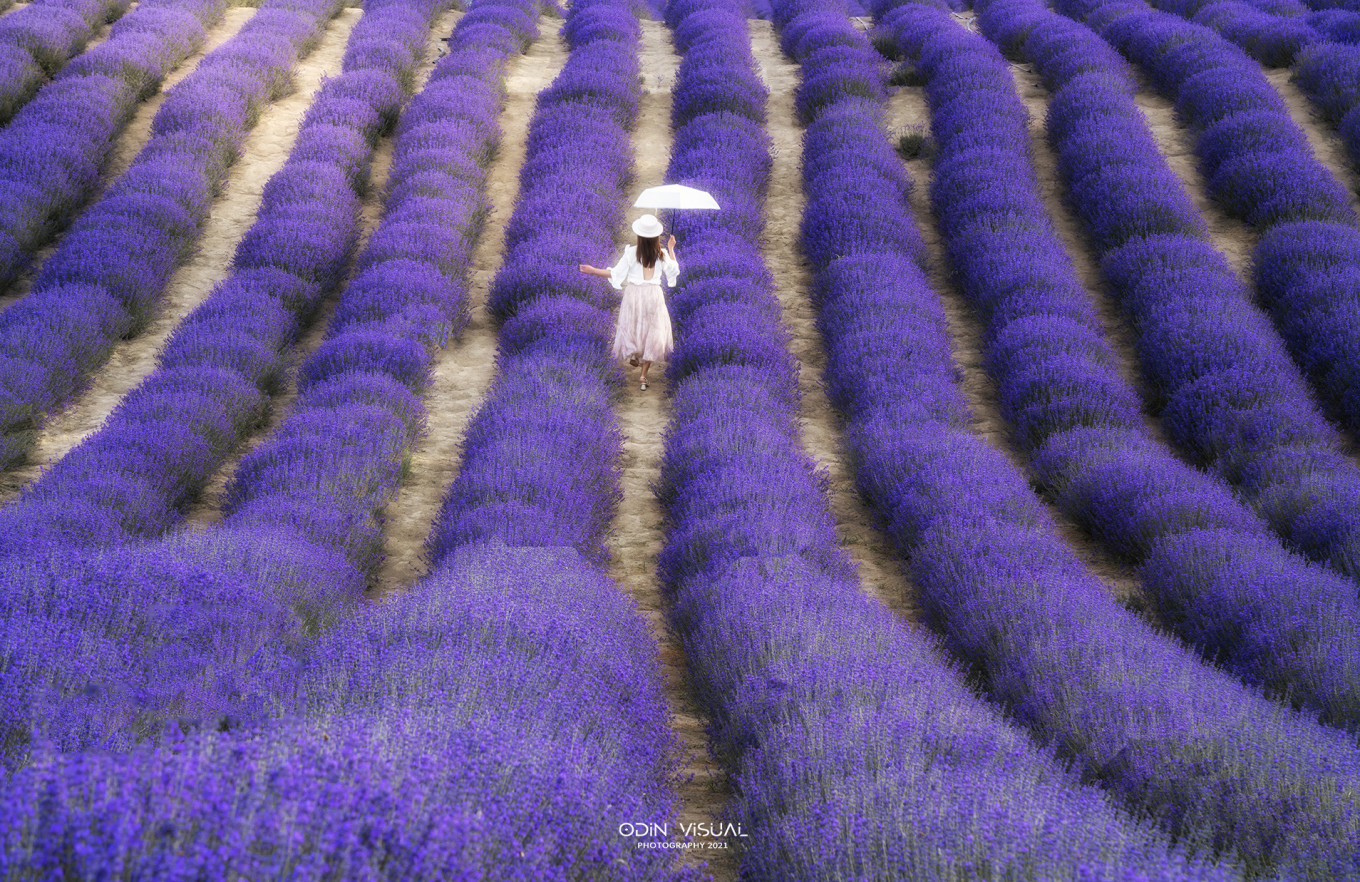 新疆伊犁之美,走了一圈才发现世界万物远不及你