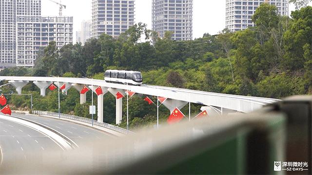 深圳开通旅行观光巴士,深圳双层巴士观光线