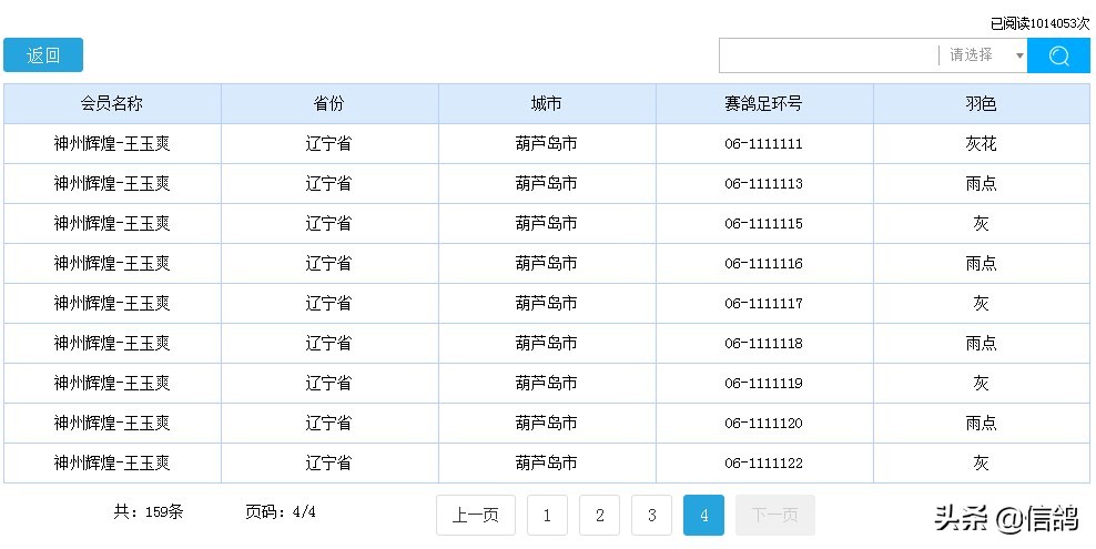 王玉爽参赛费,王玉爽开尔春赛成绩