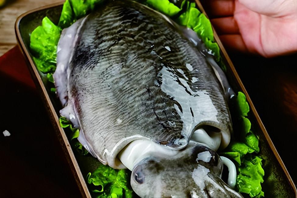 泊来鲜加盟靠谱吗,泊来鲜加盟吉林