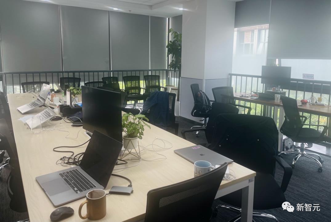 初代95后,「闯」进大厂搞技术