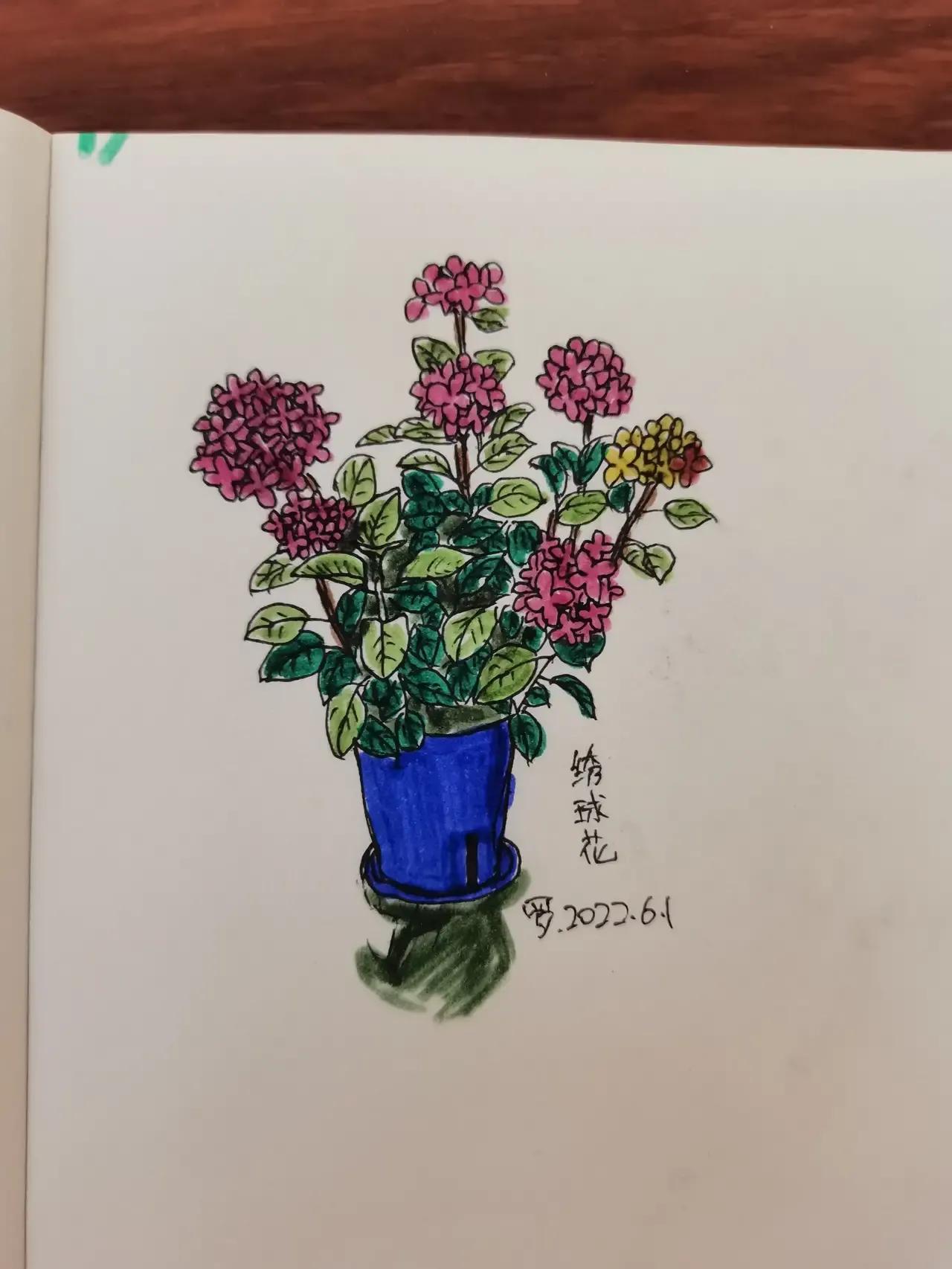 自学画画几年才有成果,自学画画一星期