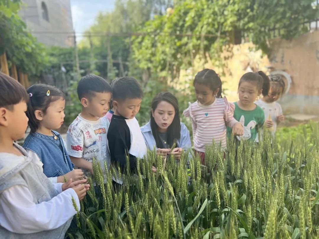 倾听儿童相伴成长主题墙幼儿园,倾听儿童相伴成长幼儿园小班视频