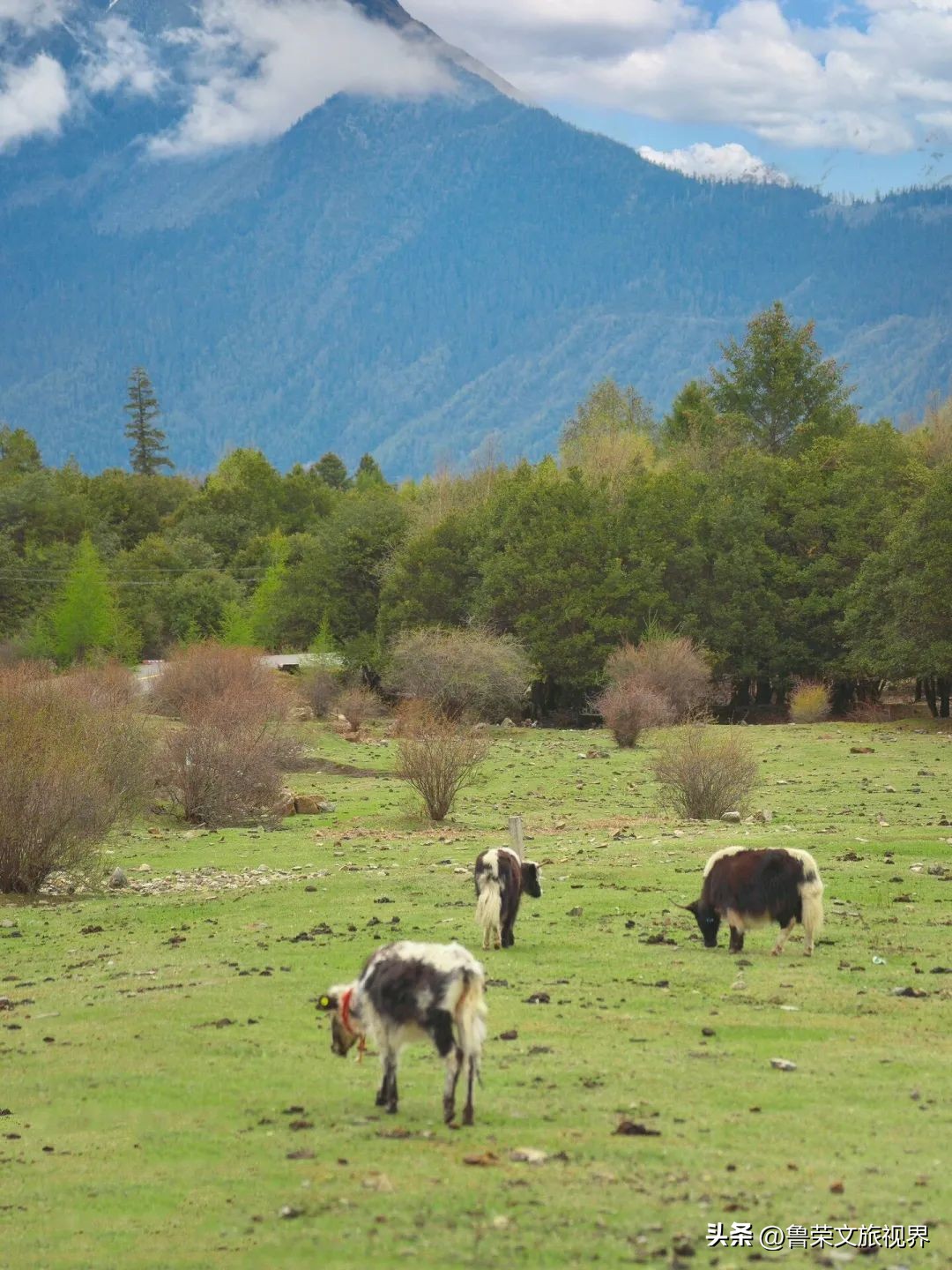 暑假请带孩子去这7个地方，每一个都美到炸裂！