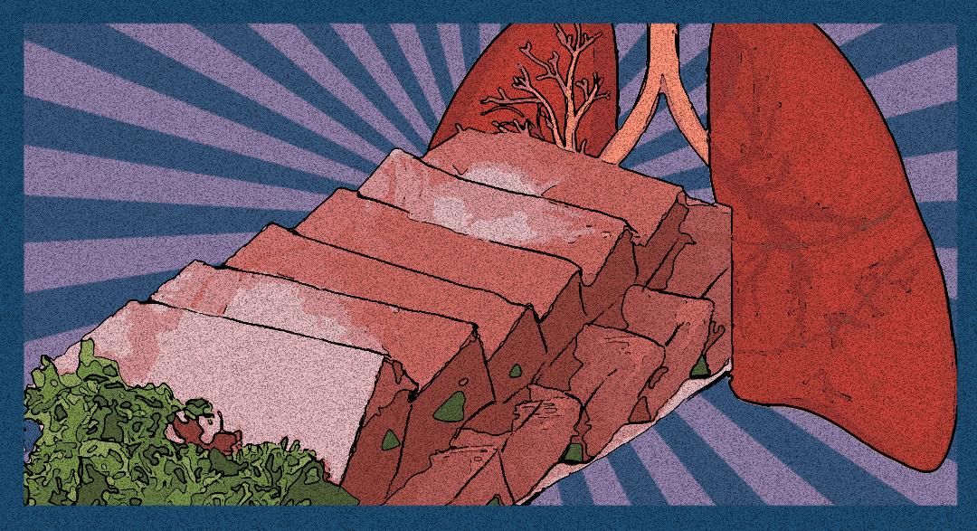 鸭血猪血真的清肺吗,鸭血猪血致癌吗