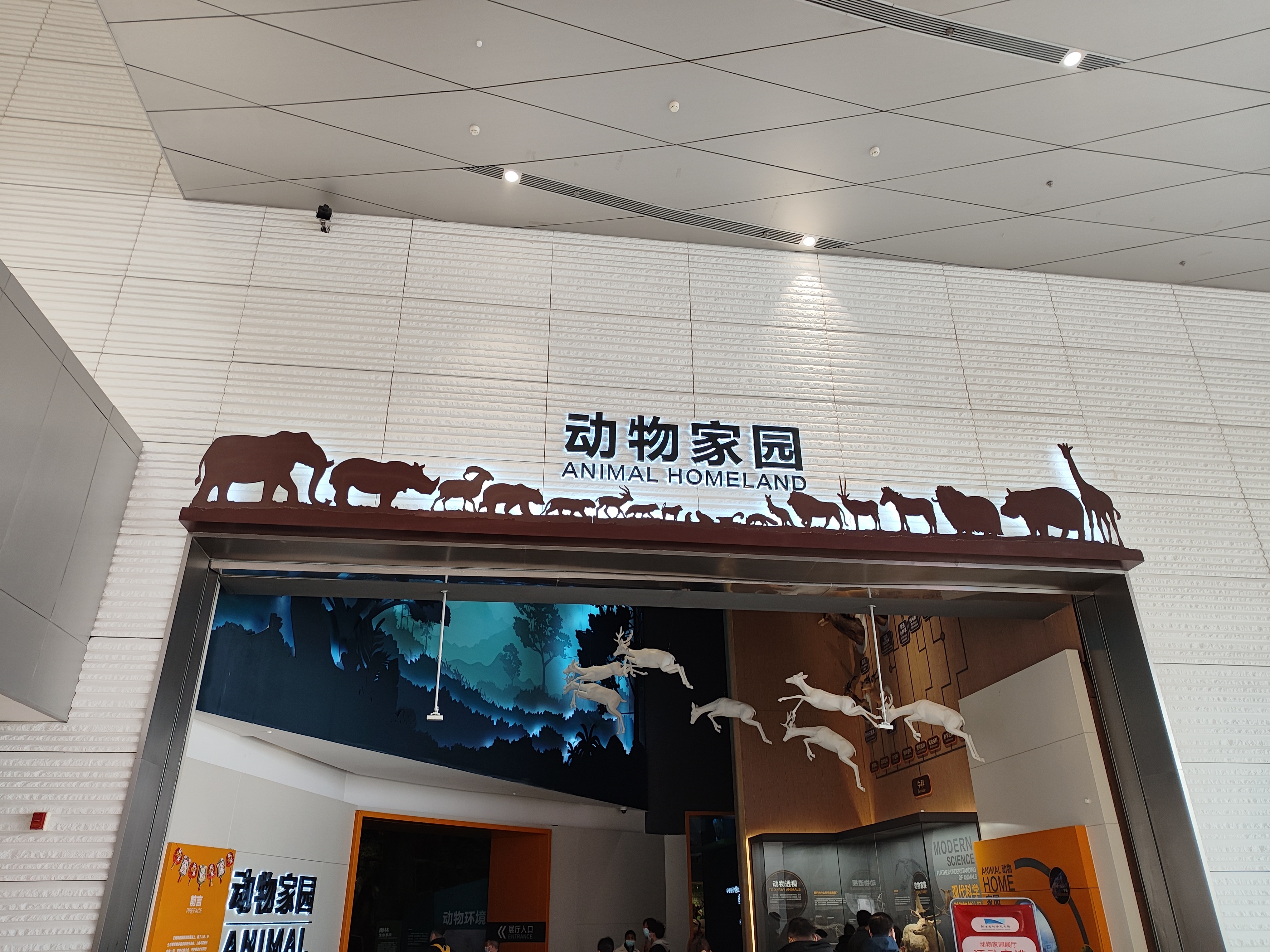 河南省科技馆新馆打卡攻略,河南省科技馆预约门票