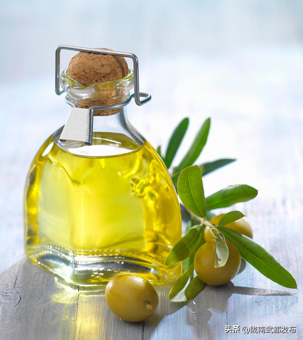 武都橄榄油品牌推荐,陇南橄榄油最新消息
