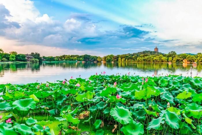 杭州西湖苏堤景点介绍,杭州西湖风景名胜区苏堤