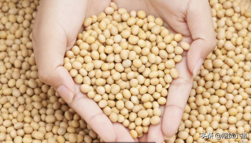 大豆价格到港,大豆压榨走势