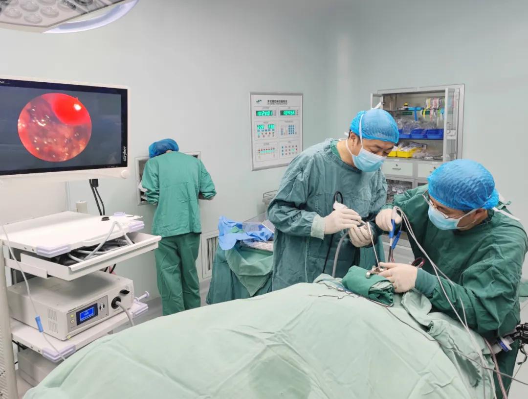 耳鼻喉科低温等离子射频消融,yyds技术