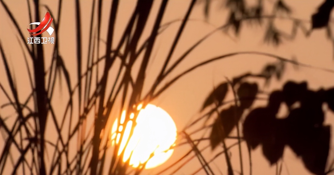 南京一男子网恋被骗17万判几年,网恋被骗27万真实案例