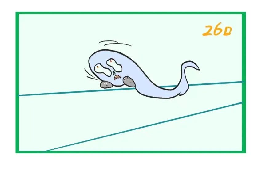 高速公路行车安全小知识视频,高速应该注意的安全知识