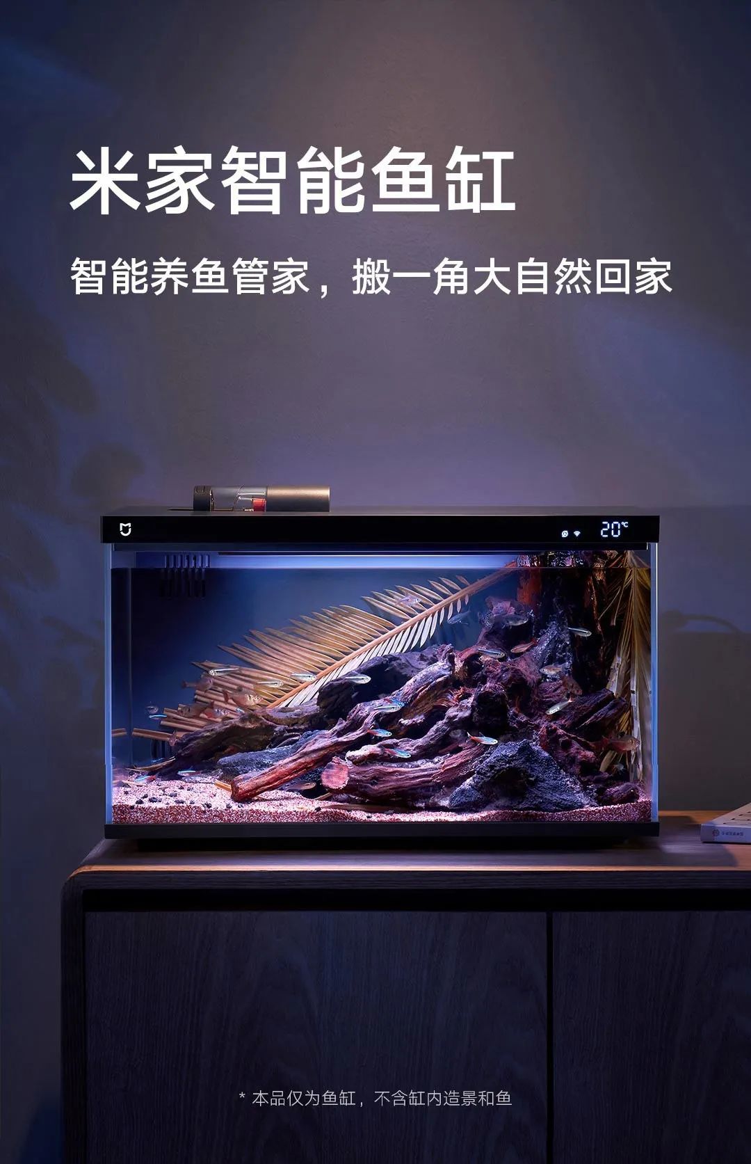 小米智能鱼缸上市多久了,小米智能鱼缸什么时候出下一代