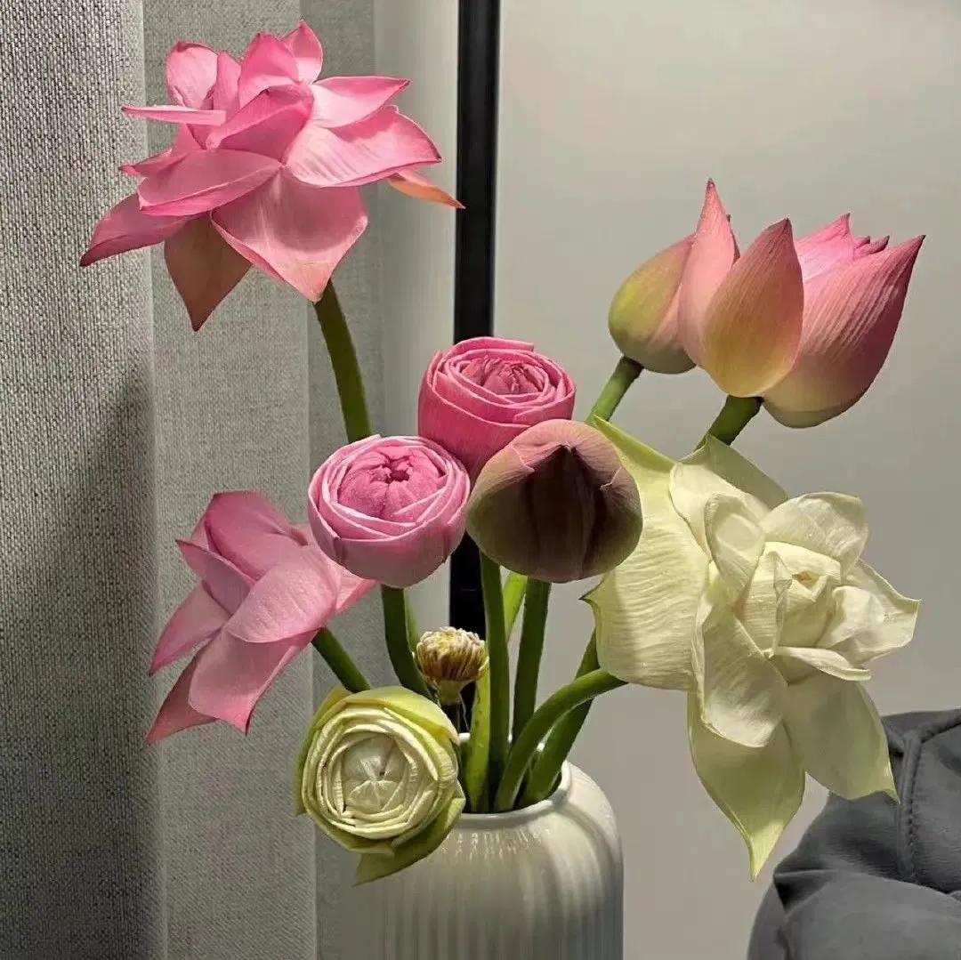 朋友圈相册封面图片,微信朋友圈封面视频